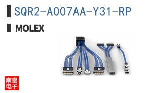 SQR2-A007AA-Y31-RP