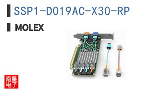 SSP1-D019AC-X30-RP