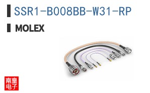 SSR1-B008BB-W31-RP