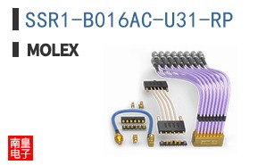 SSR1-B016AC-U31-RP