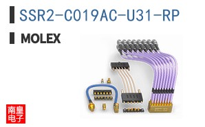 SSR2-C019AC-U31-RP