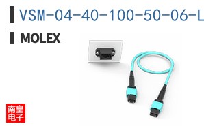 VSM-04-40-100-50-06-L1